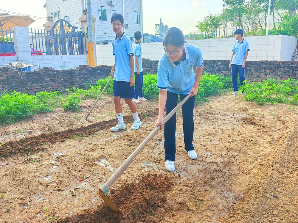 惠州周边青少年成长教育培育机构具体位置解析